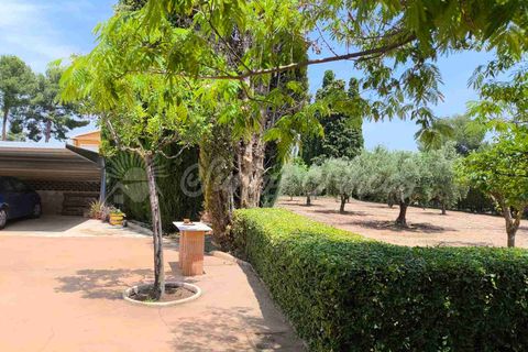 Villa i Yecla, Murcia, Yecla - € 325.000 | Ref: SF0534 - foto 33
